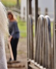 Pension Reiterhof Kurze Bild 1