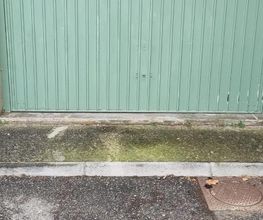 B2M image 11
