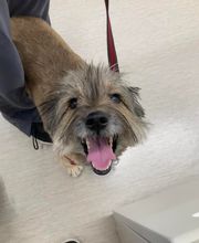 Nicholasville Road Animal Hospital image 18