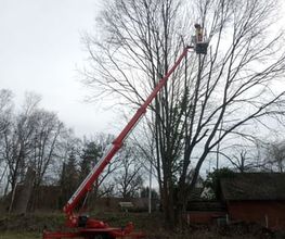 Kiefert Dienstleistungen Bild 4