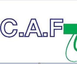 Scaf image 1