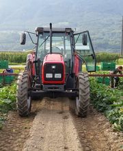 Agrotomato SA Bild 4