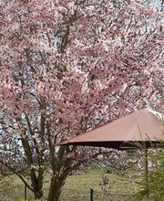 Karl Schreiber GartenGestaltung Bild 3