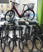 Cycles Jacquot image 3