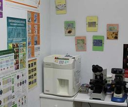 clinica-veterinaria-jayda-analisis-05.jpg
