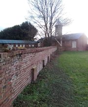 Roye Garden image 12