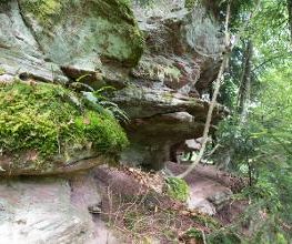 Camping Erbenwald Bild 5