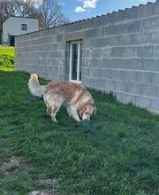 Le royaume du Bonheur image 5