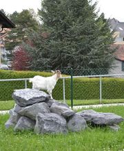 Résidence La Girarde Bild 12