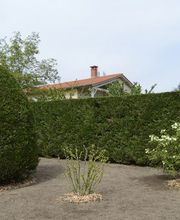 Alterre Jardins image 1