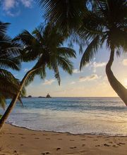 Legends Travel GmbH Bild 4