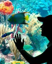 My Cancun Tours imagen 14