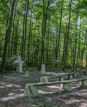 FriedWald Bad Berka Bild 9