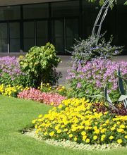 H. Gosteli AG Bild 7