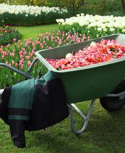 Gartenbau Howey Bild 2