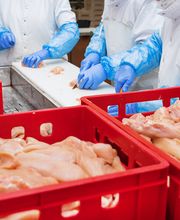 Umut Fleisch GmbH Bild 2