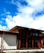 Thornton Orthodontics image 13