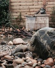 Ribera Olivier Paysages image 15