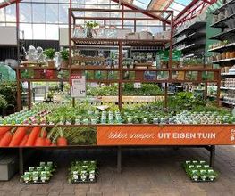Intratuin Zoetermeer afbeelding 11