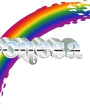 Conesa SARL image 4