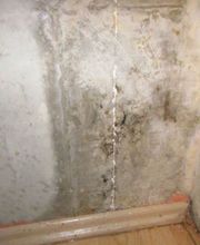 Schimmelpilz an der Wand