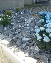 Reinhardt Gartenbau Bild 1