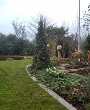 MM Gartenpflege GmbH Bild 14