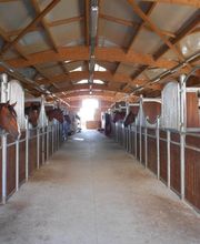 Ecurie Du Pays D'orthe image 1