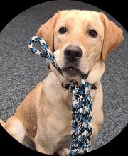 Optik ZurBrille Gmbh Bild 2