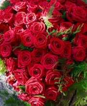 Guyard Benoît image 6