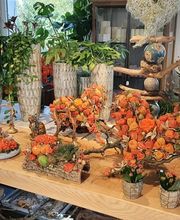 Blumen und Pflanzen Bild 5