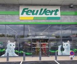 Feu Vert image 6