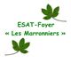 E.S.A.T Foyer Les Marronniers