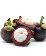 Küng + Steiner AG Bild 12