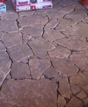 Dutemps François image 9