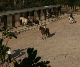 Le Manoir des Cognets image 15