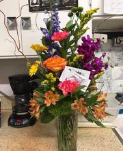 Associated Veterinary Services image 14