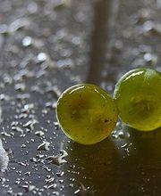 Boillot Henri image 6