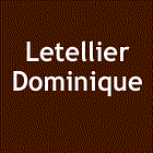 MONSIEUR LETELLIER DOMINIQUE