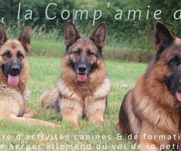 Valcreuse image 5