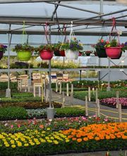 David Rioland Paysage image 2