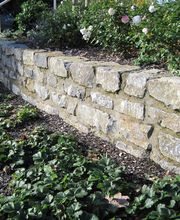 Gartenbau Menzel GmbH Bild 7