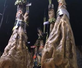 Pura Envidia Cochina imagen 1