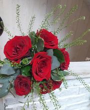 Nymphea Fleurs image 2