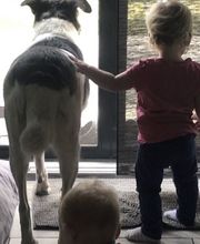 Patricia Cordes Bild 9