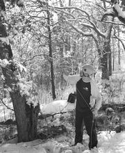 SavATree - Tree Service & Lawn Care image 5