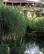 Kiwara-Lodge Bild 7