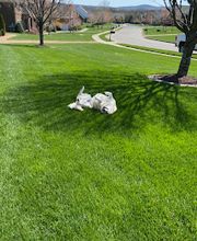 Turf Masters Lawn Care image 2