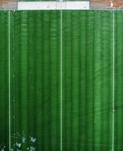 S.Green image 3