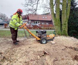 ND Gartenservice & Mehr Bild 6
